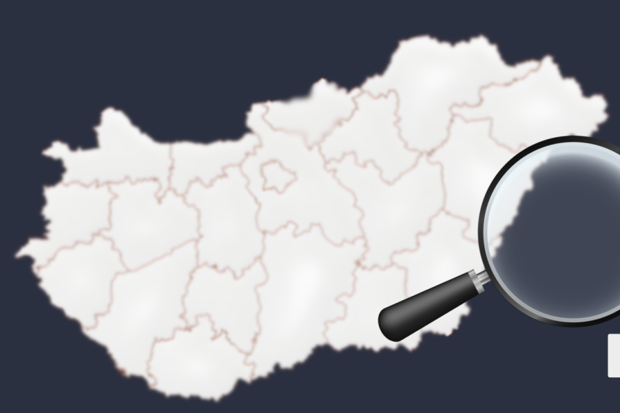 Hogyan választanak a magyarországi nemzetiségek, a külhoni és a diaszpórában élő magyarok? #22