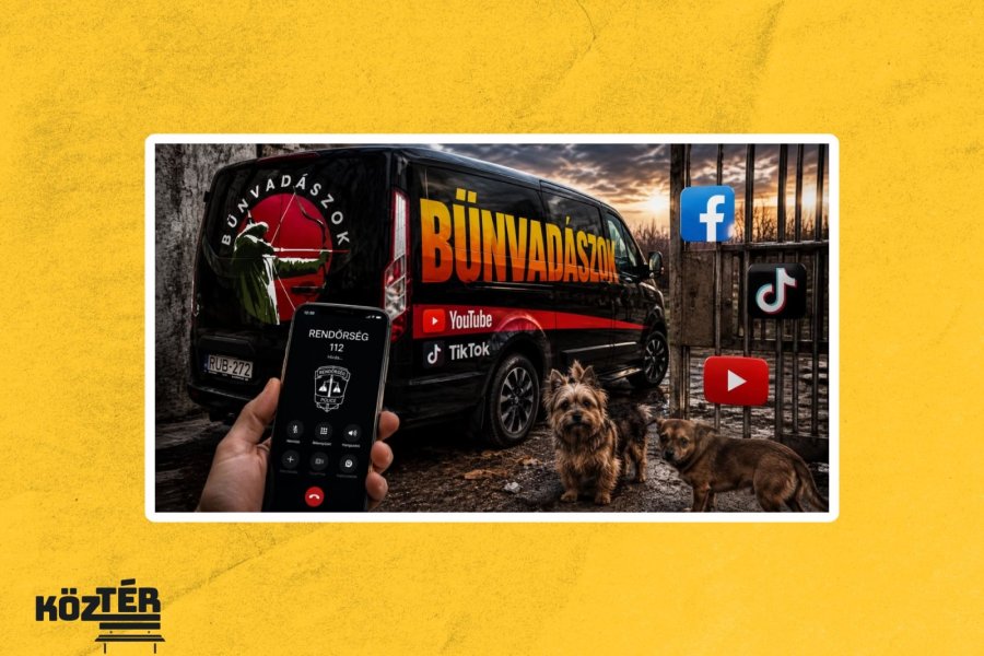 Állatkínzás, milliós megtekintések az interneten