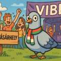 Nem voltam “fesztiválozós lány” – aztán jött a VIBE